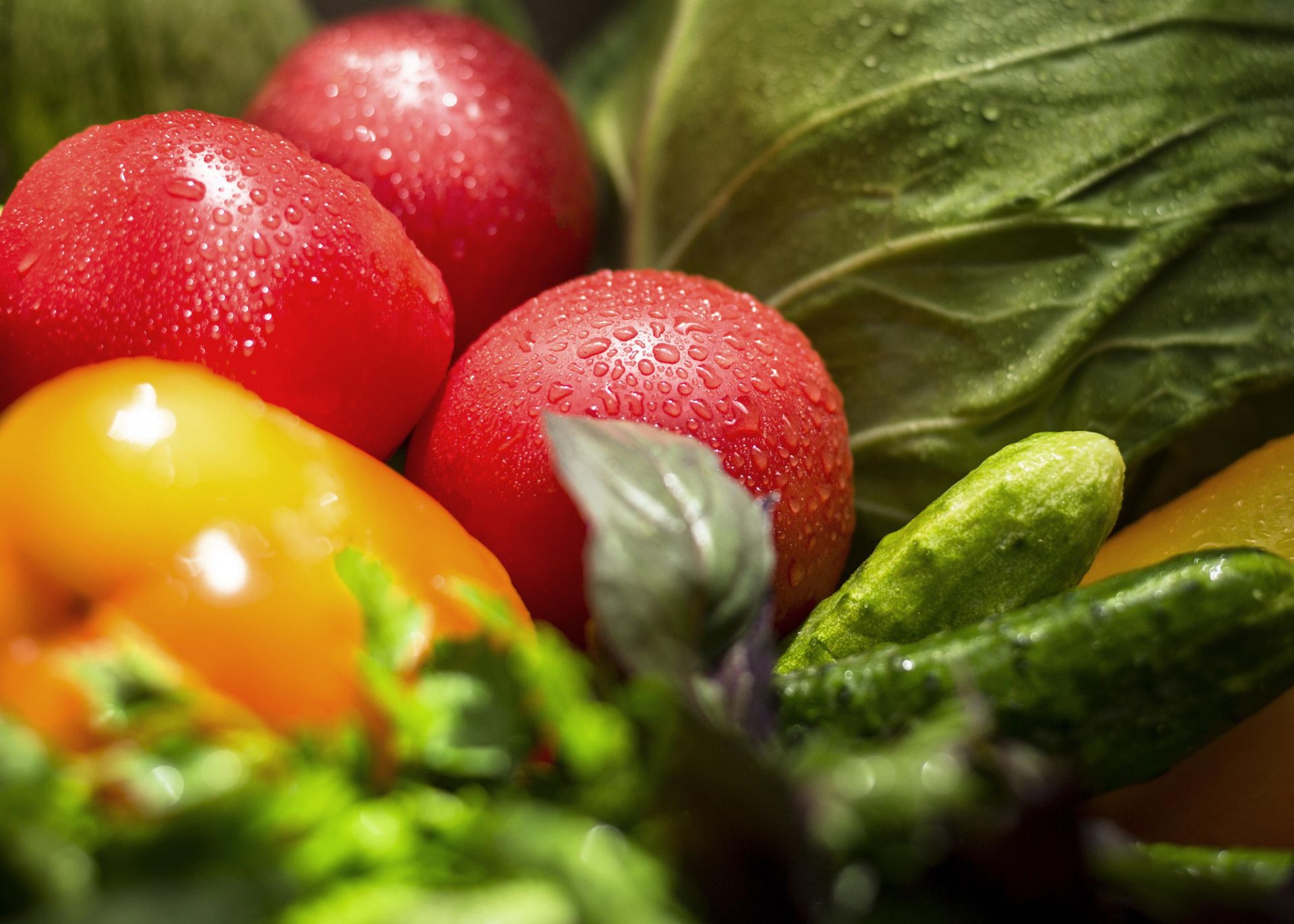 Seasonal vegetables - FreshPoint